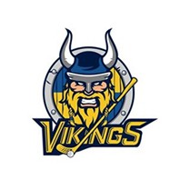 Vikings維京旱地冰球俱樂部