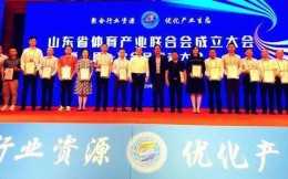 山东省体育产业联合会成立，卞志良当选会长