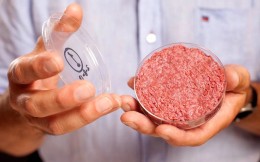 荷兰植物肉公司Mosa Meat完成2000万美元融资