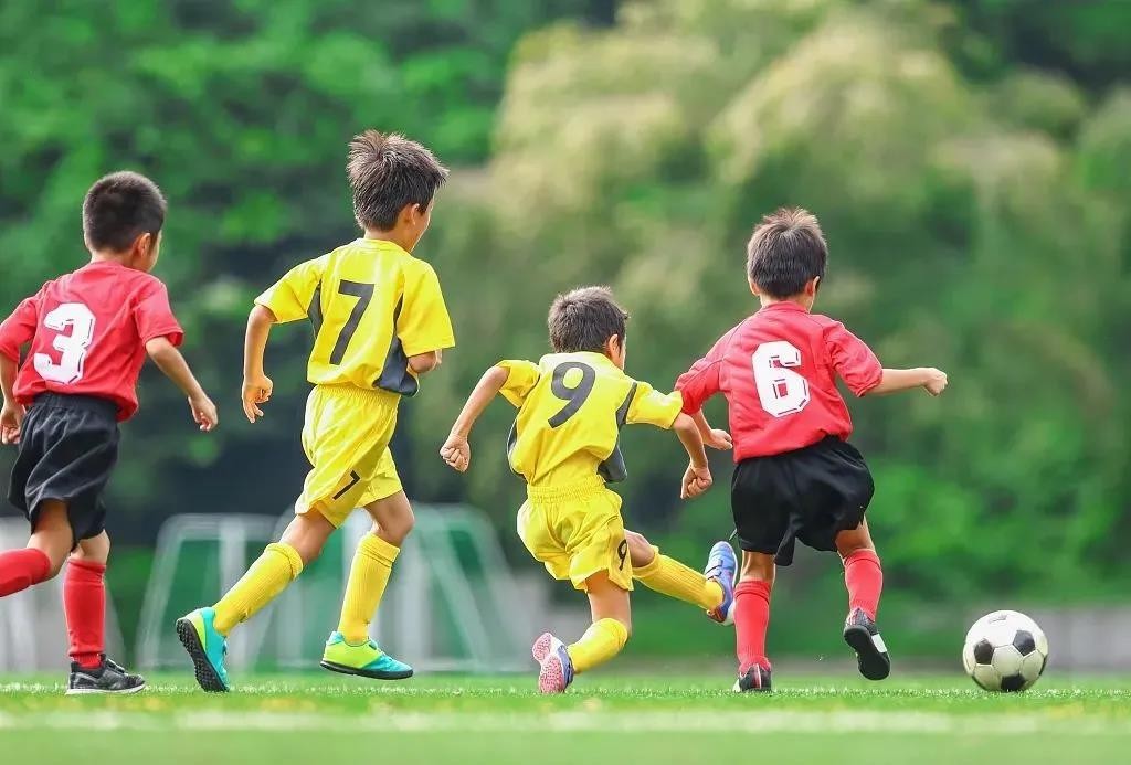 983所！教育部公示足球特色幼儿园示范园名单，蕴含四大产业机遇