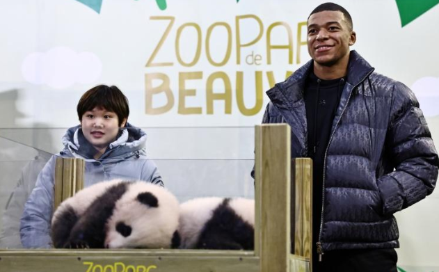 姆巴佩、张家齐出席中国旅法大熊猫命名仪式