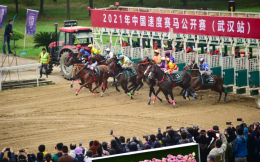 武汉出台全民健身和体育消费促进意见：争取竞猜型赛马彩票试点落户武汉
