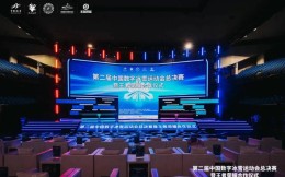 第二屆中國數字冰雪運動會總決賽在武漢洪山體育館開賽