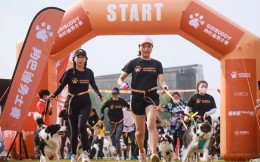 人犬障礙賽“狗巴迪”回歸 群犬野放狂歡北京世園公園