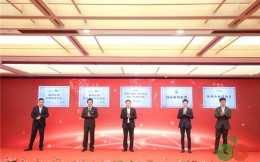 第三届智运会、智博会、第一届杭州市智运会精彩开幕