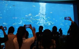 2022中国美人鱼公开赛收官之战圆满落幕