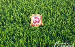 职业足球俱乐部武汉长江宣布解散