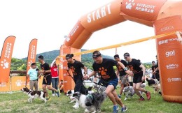 2023狗巴迪勇士赛北京站举行 超600组人犬搭档完成挑战