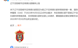 辽宁沈阳城市上诉成功，CAS判定球队非辽足体育继承者