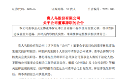 贵人鸟：林思萍因个人原因申请辞去公司董事职务
