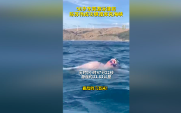 56岁游泳名宿陈苏伟成功横渡新西兰库克海峡 
